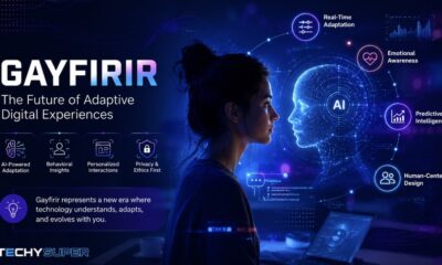 Gayfirir: Exploring an Emerging Concept in Digital Culture